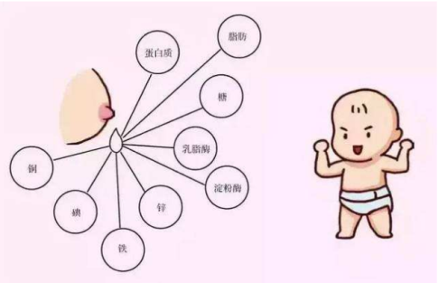 母乳喂養(yǎng)的十大好處
